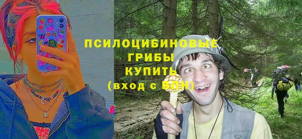 мяу мяу кристалл Осинники