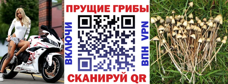 Псилоцибиновые грибы ЛСД  Купить  Юрга 